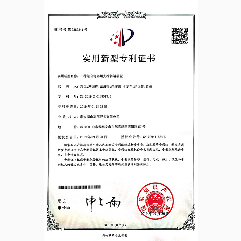 A supporting and transporting device for combined electrical appliances