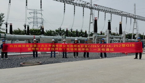 The switch company successfully passed the State Grid 220kV GIS equipment conformity assessment
